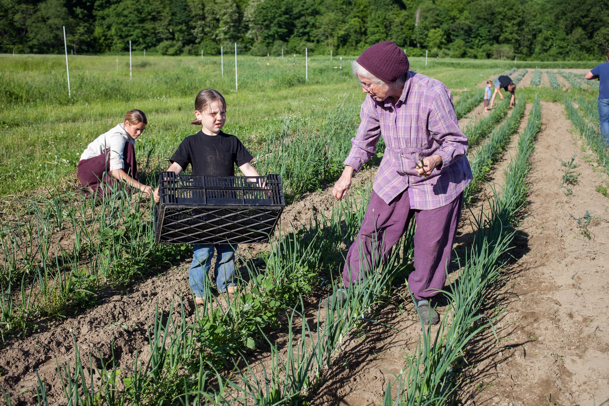 Activities for Seniors