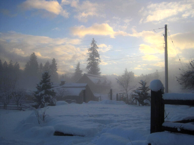 Mount Sentinel Farm snowy morning 768x576