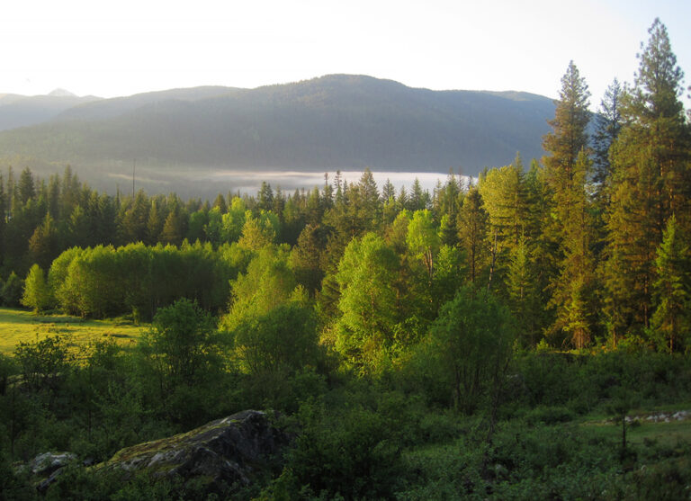 Mount Sentinel Farm summer 768x557