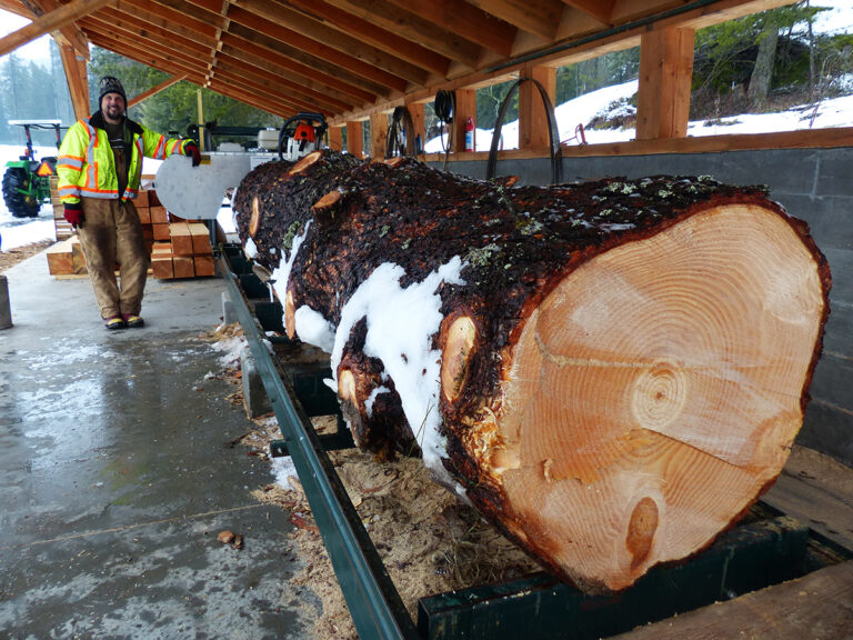 mount sentinel farm milling 768x576