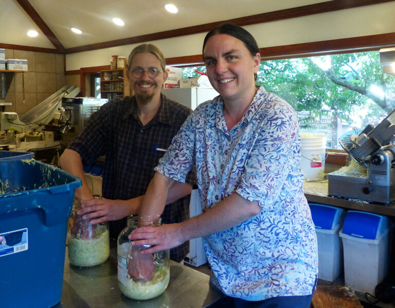 mount sentinel farm sauerkraut 768x599