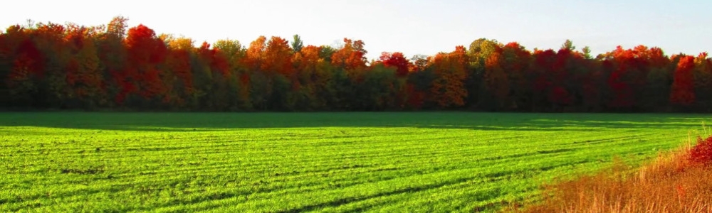 User banner image