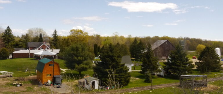 Kingston Community Farm back Kingston Community Farm back