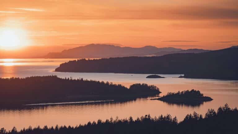 iVolunteer.network in Canada