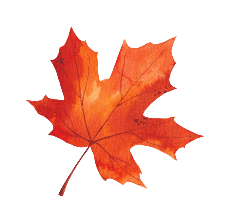 KCF Maple Leaf 768x745